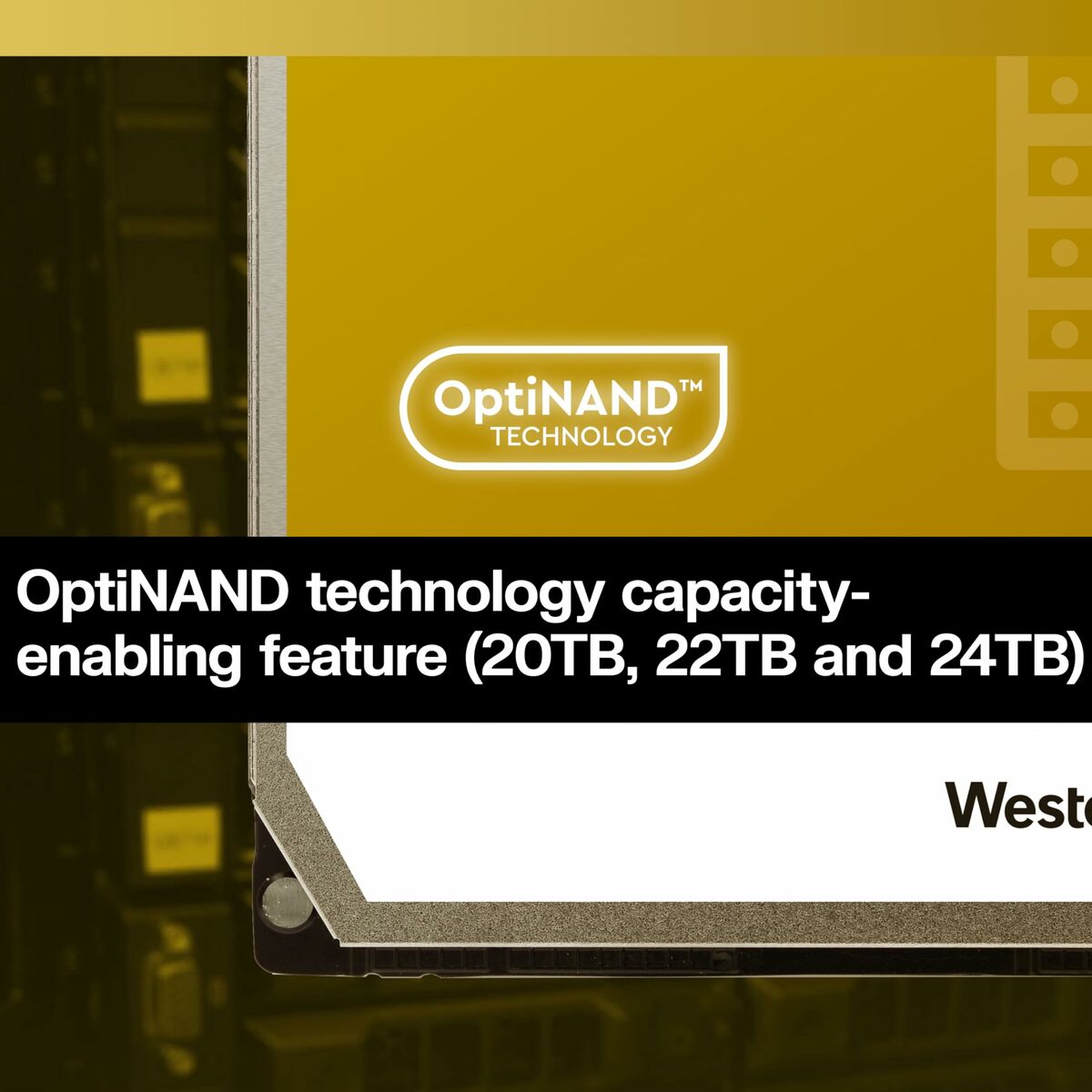 V4HD013AA0DC347A71FE2B7B366D6B2273AR6169076P10