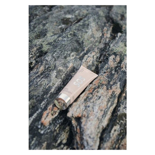 V9H9E57AB1AA9E615273C039309E1573B1DR3529359P2