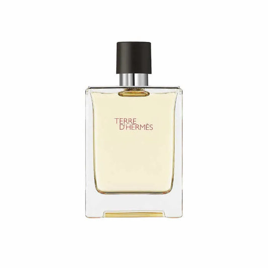 Hermes Terre D'Hermes Eau De Toilette Spray 100ml